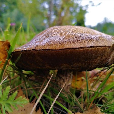 La Valle Nervesa della Battaglia エクステリア 写真