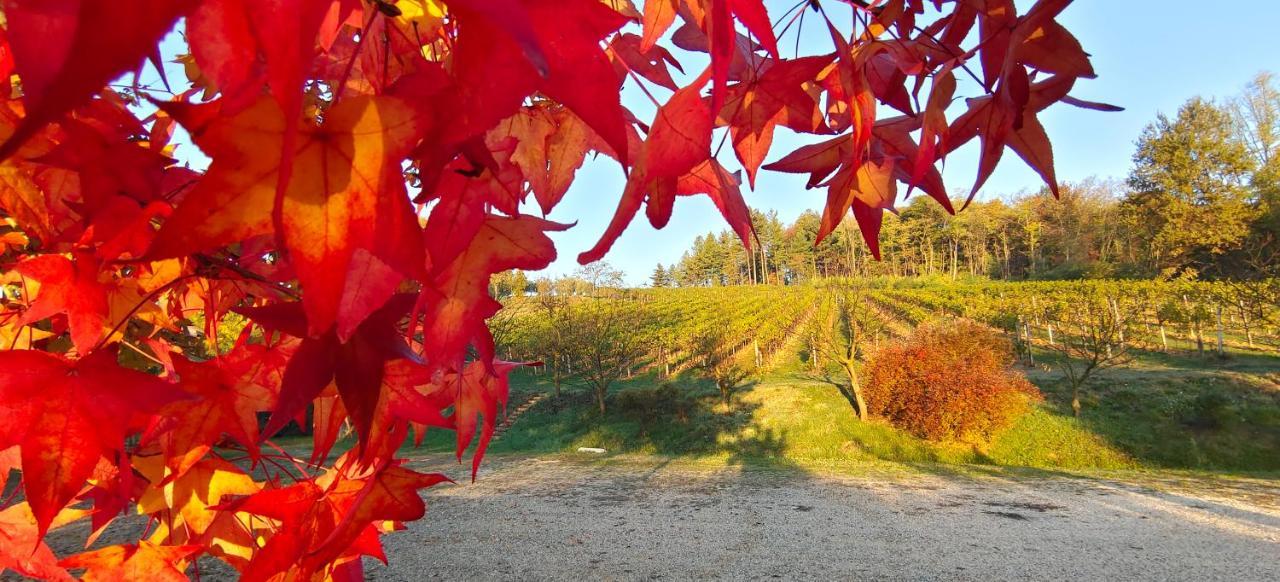La Valle Nervesa della Battaglia エクステリア 写真