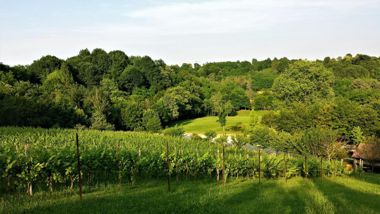 La Valle Nervesa della Battaglia エクステリア 写真