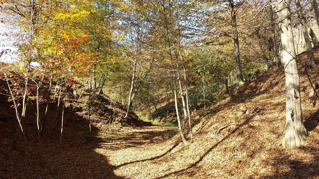 La Valle Nervesa della Battaglia エクステリア 写真